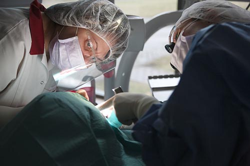 emergency dental services dentists performing emergency dental services on a patient