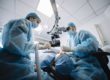 surgeons performing oral surgeries